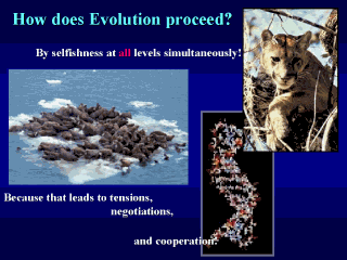 How does Evolution proceed?