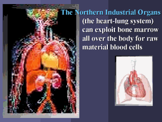 Northern Industrial organs